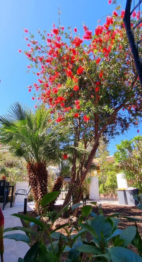 La Villetta Tre Palme 瓦雷多利亚 外观 照片